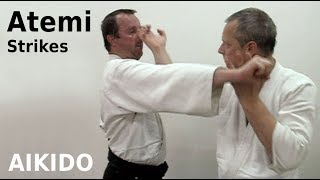 Aikido ATEMI  striking techniques by Stefan Stenudd in 2008 [upl. by Luis421]