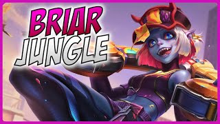 3 Minute Briar Guide  A Guide for League of Legends [upl. by Cheke]