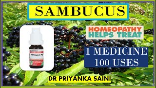 Sambucus Nigra – Homeopathic Medicine  1 MEDICINE 100 USES COUGH ASTHMA drpriyankashomeopathy [upl. by Ettellocin767]