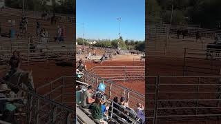 Horse Race in Queen Creek [upl. by Orestes]