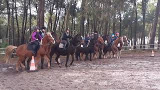 121220 Séance Galops 123 5 course au galop [upl. by Philippa696]