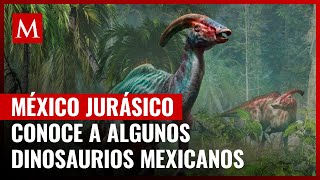 México jurásico Dinosaurios del actual territorio mexicano [upl. by Nolie]