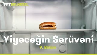 Yiyeceğin Serüveni  Dondurulmuş Gıdalar  TRT Belgesel [upl. by Brabazon]