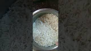 Masurm  palav short  video  viral video [upl. by Atniuqal]