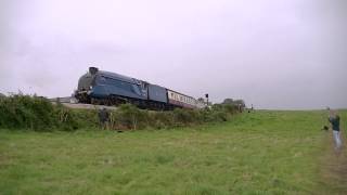 bittern with banker attached restarts on the torbay express 14092014 [upl. by Acinorehs190]