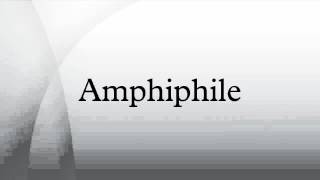 Amphiphile [upl. by Aratehs]