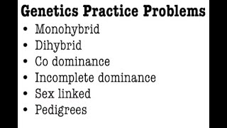 Genetics Practice Problems [upl. by Delores867]