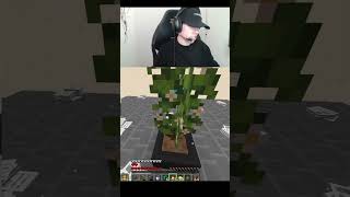 Faltó saber restar no mas la estrategia era buena spreen dedsafio minecraft twitch elded [upl. by Aldrich]