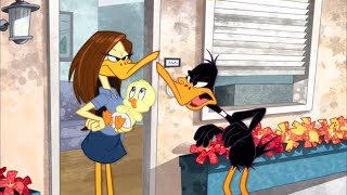 S1 E9 “The Foghorn Leghorn story” pt1 THE LOONEY TUNES SHOW [upl. by Haletta696]