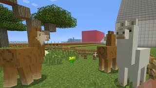 Epic Minecraft Zoo [upl. by Ydnagrub741]