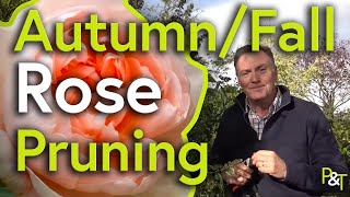 How to AutumnFall Prune Roses  Pots amp Trowels [upl. by Revilo]