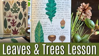 Botany Lesson  Broadleaf Deciduous Trees [upl. by Corri]