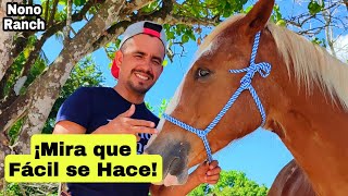 Como hacer UNA GAMARRA para CABALLO [upl. by Shugart]