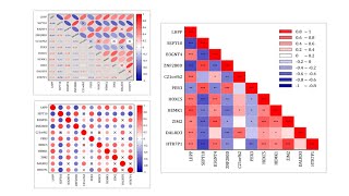 Correlation Plot App [upl. by Ronnoc]