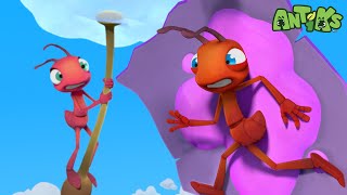 Sweet Flight  Antiks 🐜  Funny Cartoons for Kids [upl. by Petes]