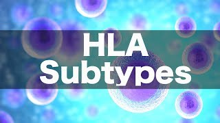 HLA Subtypes amp Associations [upl. by Tnilk]