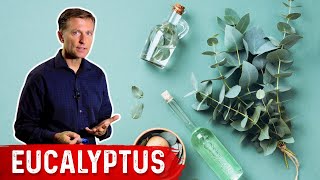 The Benefits of Eucalyptus [upl. by Silenay]