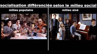 la socialisation differencie selon le milieu social [upl. by Fitzpatrick]