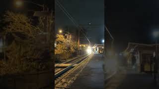 NJT 339 arriving at Maplewood with Metro North 4906 amp an almost shave amp haircut [upl. by Norted523]