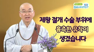 제왕 절개 수술 부위에 흉측한 유착이 생겼습니다 [upl. by Wilfreda]