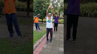 All body exercisesshortFree hand exercise [upl. by Nytsirhc]