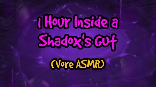 1 Hour Inside a Shadoxs Gut Vore ASMR [upl. by Ttej]