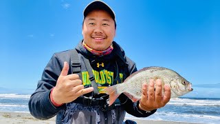 🔥California Redtail Surf Perch Fishing In July 2022 FISHING REPORT part 1 [upl. by Eurd]