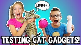 TESTING CAT GADGETS ON OUR CAT [upl. by Annahsal]