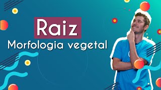 Morfologia vegetal Raiz  Brasil Escola [upl. by Layod156]