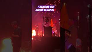 Animals as Leaders ft Plini  The Brain Dance  Live in Boston MA 111624 [upl. by Basham]