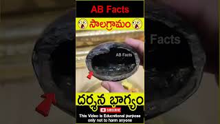 🙏సాలగ్రామం🙏 Mahavishnu roopam in shaligram telugufacts vishnupuran shorts youtubeshorts abfacts [upl. by Odlanier]