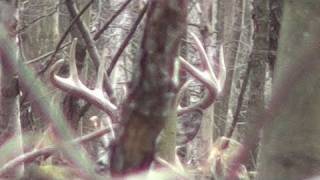 Flintlock Muzzleloader Deer Hunting 2011 Big Buck Pennsylvania 2 [upl. by Lucinda]