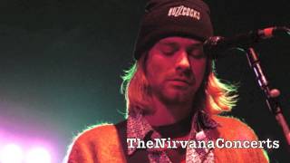 Nirvana  Heart Shaped Box Live at Milan Italy 1994 [upl. by Cattier]