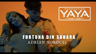 ADRIAN NOROCEL  FURTUNA DIN SAHARA  OFICIAL [upl. by Roeser]