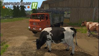 LS17 I DREISTERN HOF 19 🚜 Die ersten Kühe sind da DeutschHD [upl. by Durman]