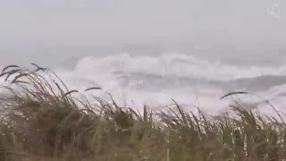 🌀 Hurricane Storm Ambience on the Beach with Heavy Rough Ocean Waves Crashing on the Coast [upl. by Alfeus]