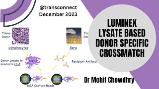 Luminex lysate based crossmatch lumXm Episode 44 [upl. by Eidob]