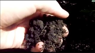 Introduction to Soil Texture [upl. by Struve]