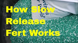 Slow Release Fertilizer For the Lawn  How it Works [upl. by Jacquelyn550]