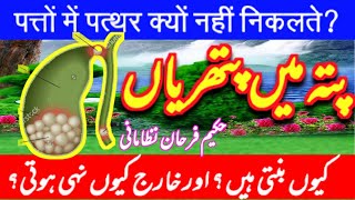 Gallbladder Stone treatment in Urdu  Pity ki pathri Ka ilaj  Hakeem Farhan N [upl. by Tarazi]