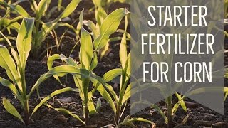 Starter Fertilizer in Corn [upl. by Mauretta175]