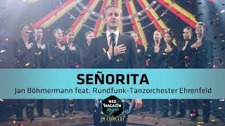 Kay Boehm  Señorita Cover  Neo Magazin Royale mit Jan Böhmermann  ZDFneo [upl. by Eilah]