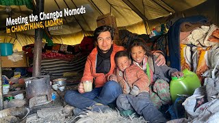 Tibetan Nomads the Changpa of Changthang Ladakh  ft tennorchannel2947 [upl. by Attelrahc]