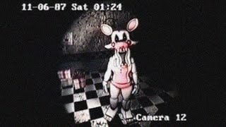 THESE FNAF VHS TAPES WILL MAKE YOU TERRIFIED [upl. by Okia]