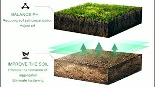 Potassium Humate with High Humic Acid amp Fulvic Acid Water Soluble Organic Fertilizers [upl. by Laehcimaj894]