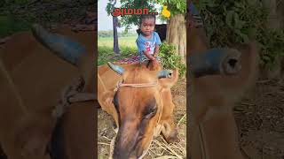 😳 Jiya Rowdyism 🫣 funny comedy trending video viralvideo shortvideo youtubeshorts சோங் 🫰 [upl. by Anigar563]