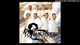 ALACRANES MUSICALMicaela [upl. by Ttsepmet163]