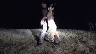 Johns 2017 Coyote Recovery  Mosquito Creek Coyote Hunt [upl. by Aldarcie]