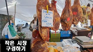 포르투갈 작은 시장 구경하기Portugal wwoof 20 [upl. by Haizek]