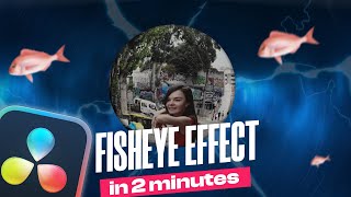 FISH EYE Effect in DaVinci Resolve 18 [upl. by Hannad]